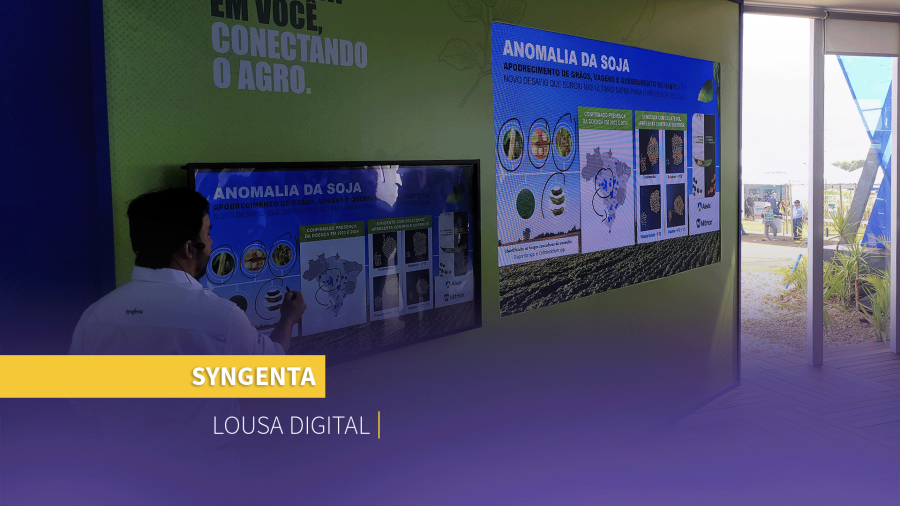 Imagem de nossos projetos